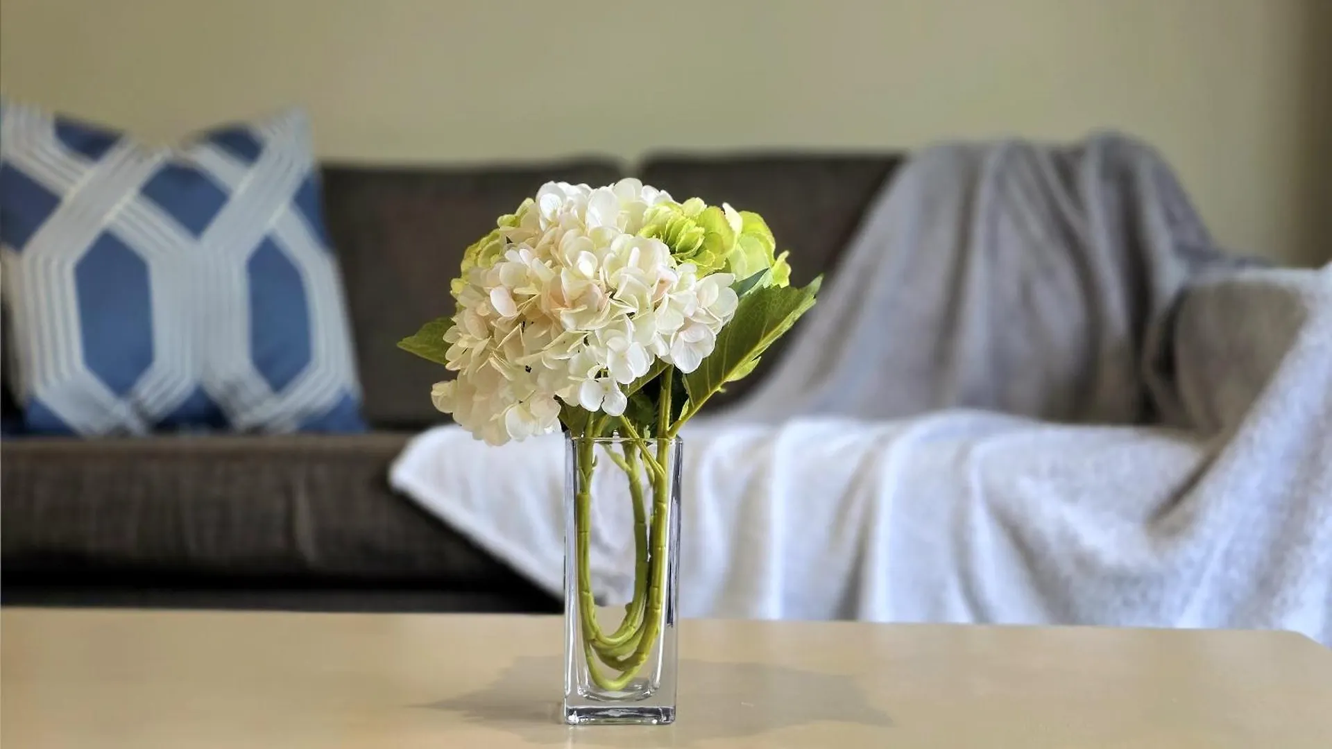 Motel Tower Junction Motor Lodge: Central Stay with Free Railway Shuttle Christchurch