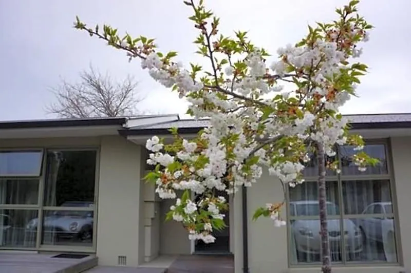 **** Motel Tower Junction Motor Lodge: Central Stay with Free Railway Shuttle Christchurch New Zealand